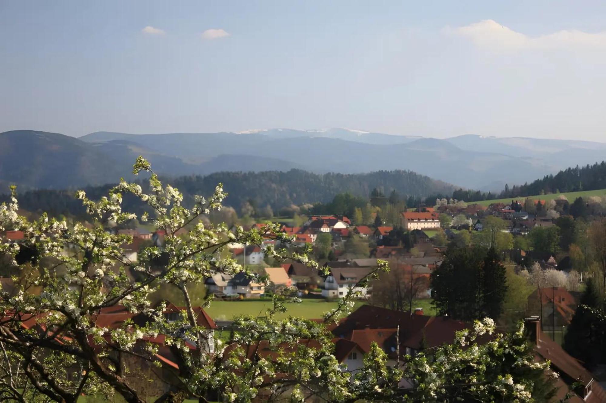 Ferien Auf Dem Steingrubenhof Lägenhet Sankt Peter Exteriör bild