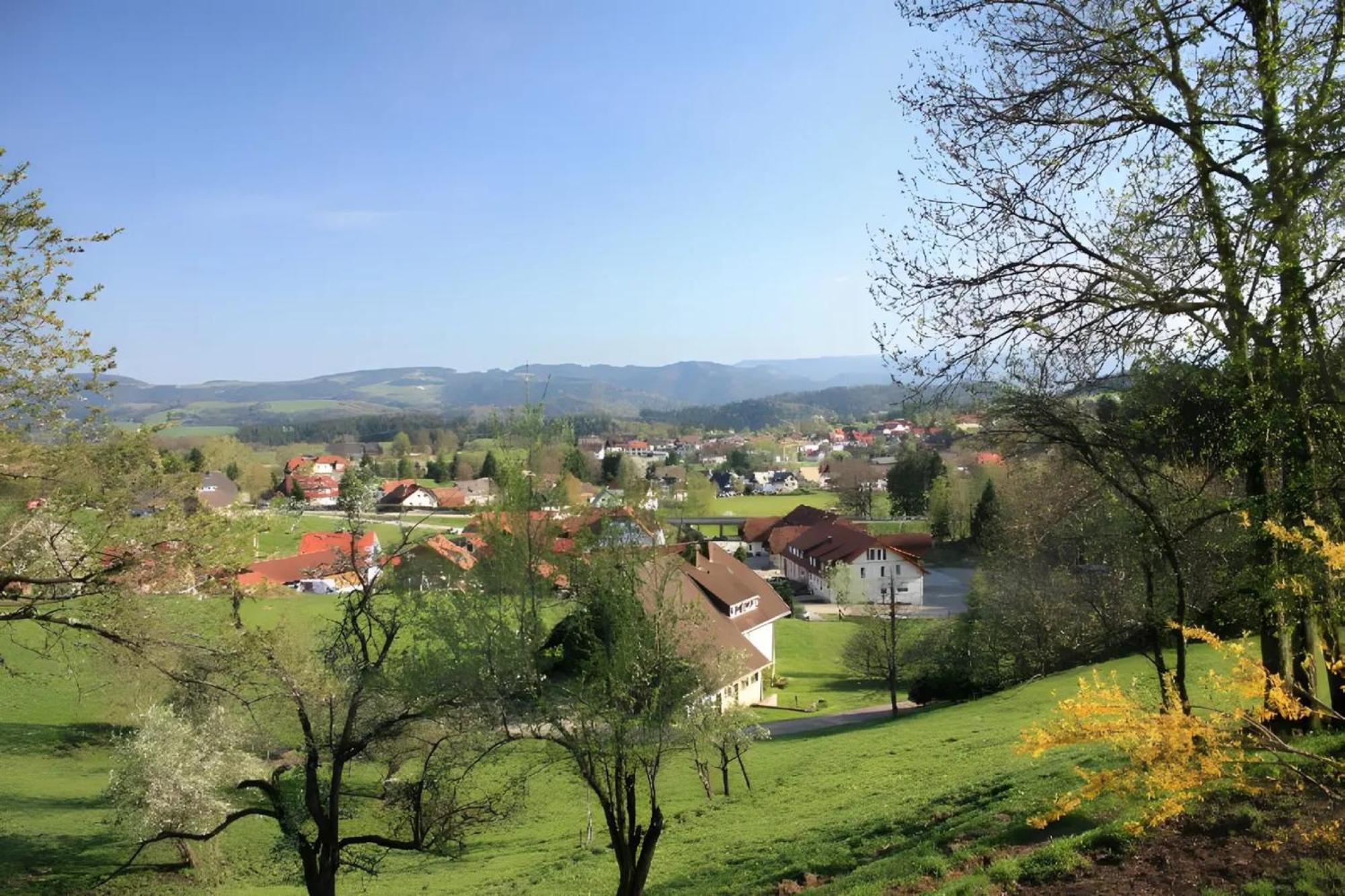 Ferien Auf Dem Steingrubenhof Lägenhet Sankt Peter Exteriör bild