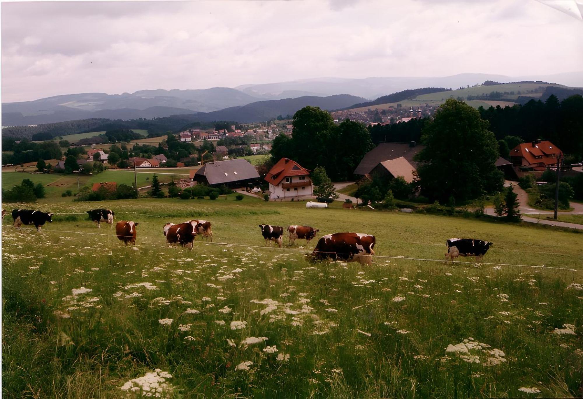Ferien Auf Dem Steingrubenhof Lägenhet Sankt Peter Exteriör bild